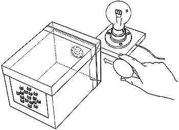 Pinhole camera and lens